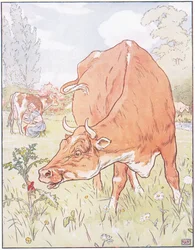 Eine Kuh biss die Distel ab und verschluckte den armen Tom